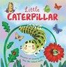 Little Caterpillar - Autumn Publishing - 9781803687421