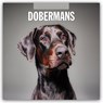 Dobermans 2026 Square Wall Calendar - Red Robin - 9781804428023