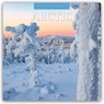 Arctic 2026 Square Wall Calendar - Red Robin - 9781804429846