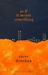 As if it Meant Something - Steve Denehan - 9781804470299