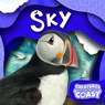 Sky - Robin Twiddy - 9781805053910