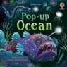 Pop-up Ocean - Lizzie Cope - 9781805072942