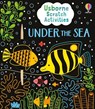 Usborne Scratch Activities Under the Sea - Rosie Dickins - 9781805076964