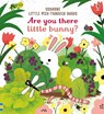 Are You There Little Bunny - Sam Taplin - 9781805078340