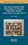 Two Early Byzantine Bible Manuscripts in Christian Palestinian Aramaic - Kim Phillips - 9781805115410