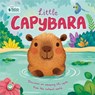Little Capybara: Little Nature Stories - Autumn Publishing - 9781805852056