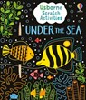 Usborne Scratch Activities Under the Sea - Rosie Dickins - 9781835405734