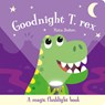 Goodnight T. Rex - Katie Button - 9781835552704