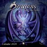 Dragons by Anne Stokes Wall Calendar 2026 (Art Calendar) -  - 9781835623183