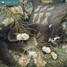 Ivory Cats by Lesley Anne Ivory Wall Calendar 2026 (Art Calendar) -  - 9781835623534