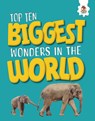 Top Ten Biggest Wonders in the World - John Allan - 9781835693384