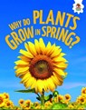 Young Science Seekers: Why Do Plants Grow in Spring? - Rebecca Storm - 9781835697290