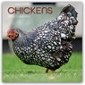 Chickens - Hühner 2026 - 16-Monatskalender - Comello - 9781836223375