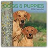 Dogs and Puppies - Hunde und Welpen 2026 - 16-Monatskalender -  - 9781836223672