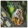 Monkey Business 2026 - 16-Monatskalender -  - 9781836223917