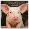 Piggies - Ferkel Schweine 2026 - 16-Monatskalender - Comello - 9781836223948