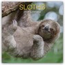 Sloths - Faultiere 2026 - 16-Monatskalender -  - 9781836223962