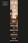 There Is No Place for Us - Brian Goldstone - 9781837268016