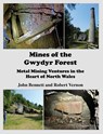 Mines of the Gwydyr Forest - Robert Vernon ; John Bennett - 9781838362126