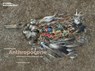 Surveying the Anthropocene: - Patricia MacDonald - 9781838382230