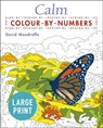 Large Print Calm Colour-by-Numbers - David Woodroffe - 9781838574178
