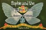 Sophie and the Crystal Fairies: Santa's Little Helpers - Sophie Collins - 9781838758165