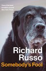 Somebody's Fool - Richard Russo - 9781838959616