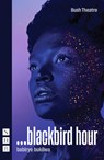 ...blackbird hour - babirye bukilwa - 9781839044311