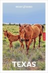 Insight Guides Texas: Travel Guide with eBook - Rashmi Narayan - 9781839053801