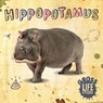 Hippopotamus - William Anthony - 9781839274794