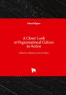 A Closer Look at Organizational Culture in Action - Suleyman Davut Goker - 9781839625787