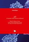 p53 - Mumtaz Anwar ; Zeenat Farooq ; Mohammad Tauseef - 9781839681455