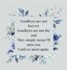 Celebration of life, funeral book, Condolence book to sign (Hardback cover) - Lulu And Bell - 9781839904011