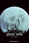 Glass Eels - Nell (Author) Leyshon - 9781840027532
