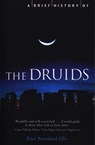A Brief History of the Druids - Peter Ellis - 9781841194684