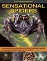 Exploring Nature - Barbara Taylor - 9781843228547