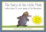 Story of the little mole who knew it was non of his business (pop-up ed) - werner holzwarth - 9781843652700