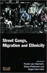 Street Gangs, Migration and Ethnicity - Frank van Gemert ; Dana Peterson ; Inger-Lise Lien - 9781843923978
