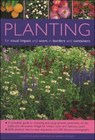 Planting for Visual Impact and Scent in Borders and Containers - Richard Bird ; Jackie Matthews ; Andrew Mikolajski - 9781844762408