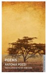Poems - Antonia Pozzi - 9781847494702