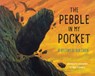 The Pebble in My Pocket - Meredith Hooper - 9781847807687