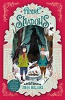 The Figure in the Shadows - The House With a Clock in Its Walls 2 - John Bellairs - 9781848127920