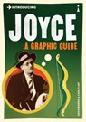 Introducing Joyce - David Norris - 9781848313514