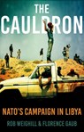 The Cauldron - Rob Weighill ; Florence Gaub - 9781849048828