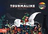 Tourmaline - Davide Cali - 9781849768702