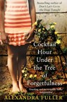 Cocktail Hour Under the Tree of Forgetfulness - Alexandra Fuller - 9781849832960