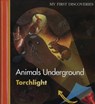 Animals Underground - Claude Delafosse - 9781851034086