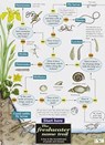 The Freshwater name trail - Richard Orton ; Anne Bebbington ; John Bebbington - 9781851538393