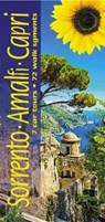 Sorrento, Amalfi and Capri Sunflower Guide - Julian Tippett - 9781856914932