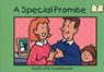 A Special Promise - SCRIMSHIRE,  Hazel - 9781857923575